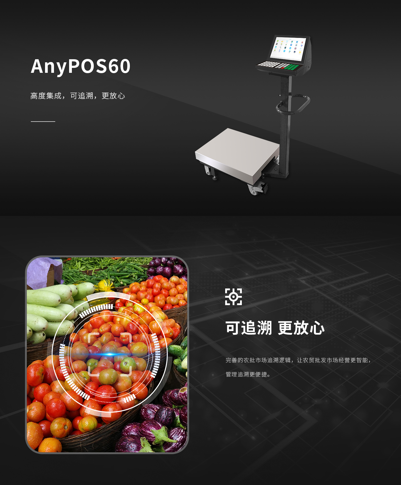 AnyPOS60_01.jpg