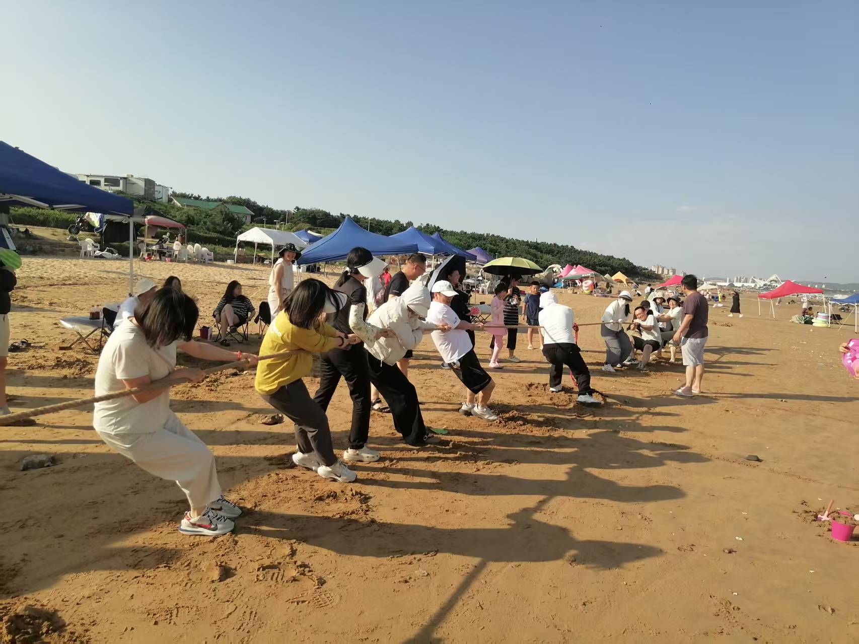1787894010518247.jpg 微信图片_20260811100900_248_72.jpg
